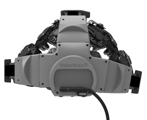 WeberBrain®